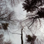 pete_7_opt